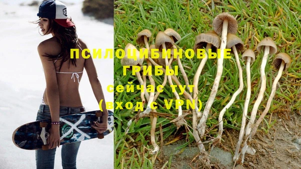спайс Баксан