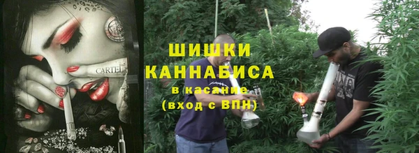 спайс Баксан