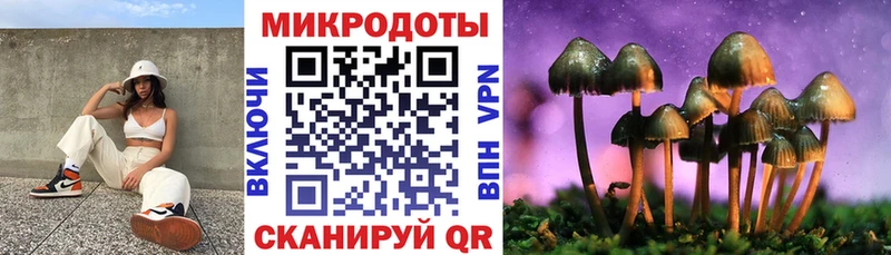 магазин продажи mega вход Галлюциногенные грибы мицелий Тимашёвск