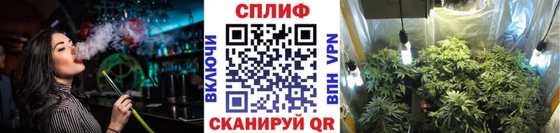 Бошки марихуана OG Kush  Тимашёвск 